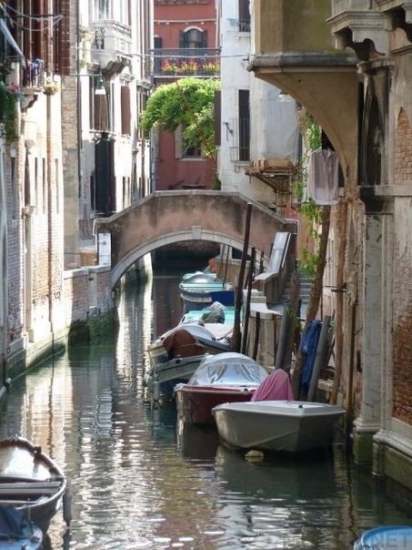 Когда-то в Венеции куртизанкам платили за демонстрацию груди на мосту Понте-делле-Тетте