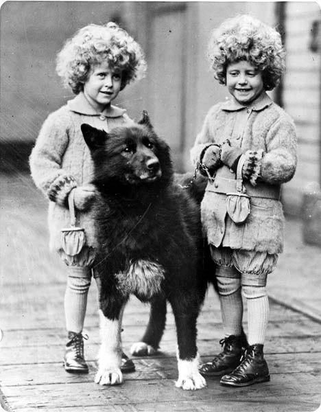 Балто. Собака-герой. В начале 1925г. дифтерия, страшная болезнь, поражающая детей, разгорелась в поселении Ном. Была необходима вакцина, притом всем прилегавшим больницам. Связавшись по