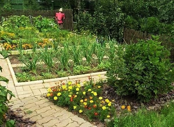 О пользе продуктов в хозяйственных нуждах садовода. 
