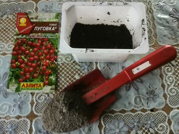 Что можно добавить в почву при посеве помидор на рассаду