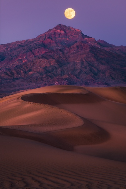 Полная луна поднимается над песчаными дюнами (Долина Смерти, Калифорния)