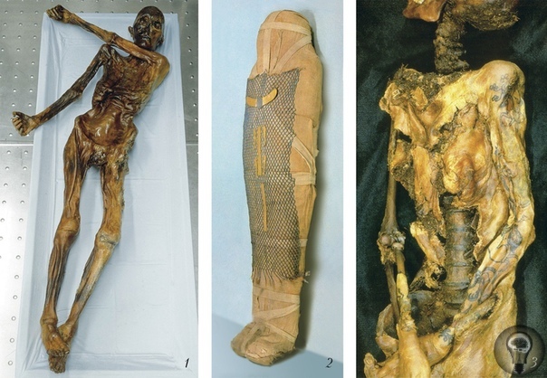 Ледяная мумия Этци и тайна буддийских монахов В традиционном понимании мумия это мертвое тело, которое удалось уберечь от разложения с помощью бальзамирования.Самые известные мумии